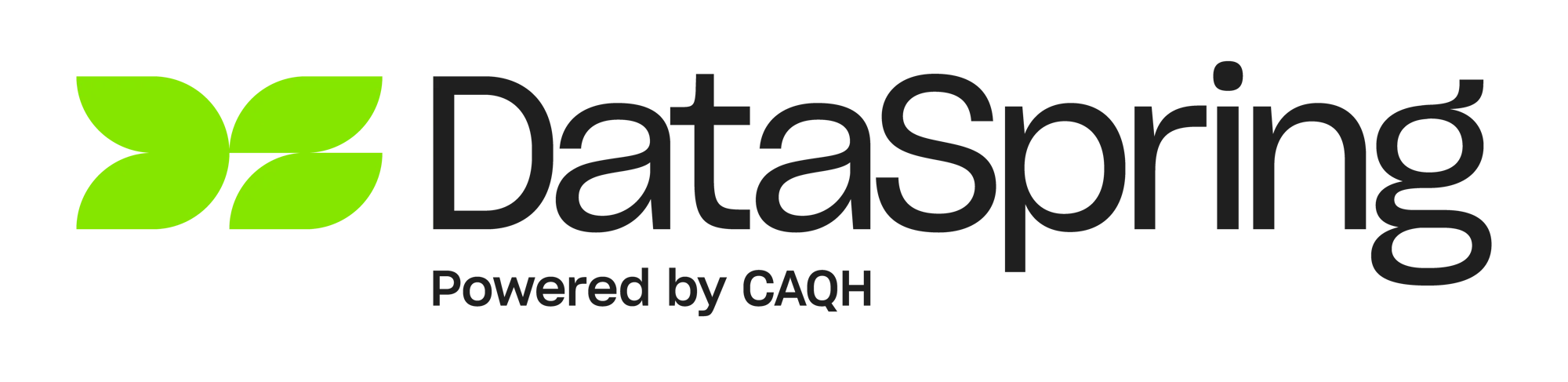 dataspring